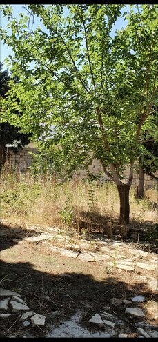 Torpaq - Avtovağzal m. - 10 sot (4)