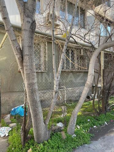 3 otaqlı həyət evi/bağ evi - Nəriman Nərimanov m. - 85 m² (15)
