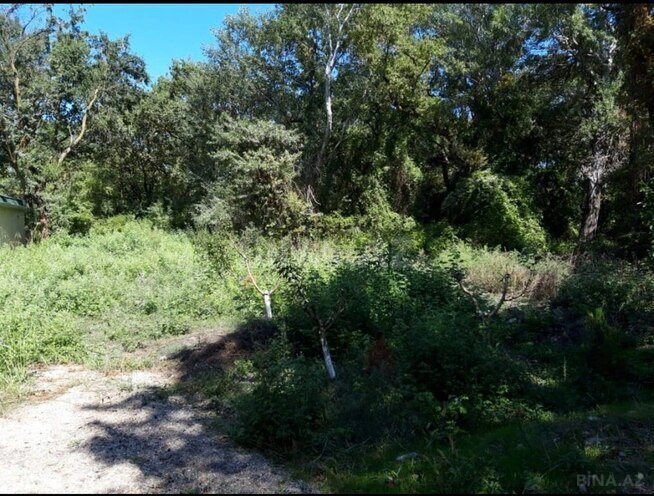 Satılır  torpaq 101 sot, photo 4 from 6