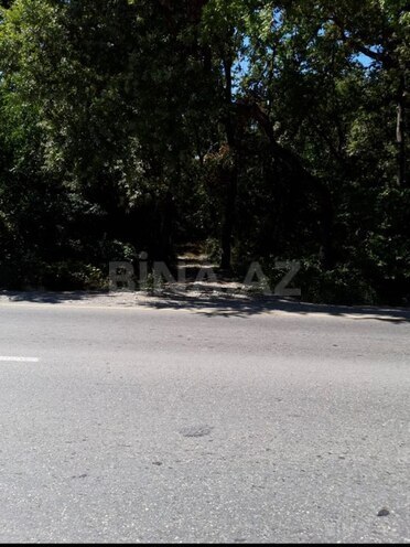 Satılır  torpaq 101 sot, photo 5 from 6