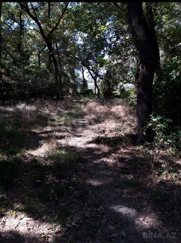 Satılır  torpaq 101 sot, photo 3 from 6