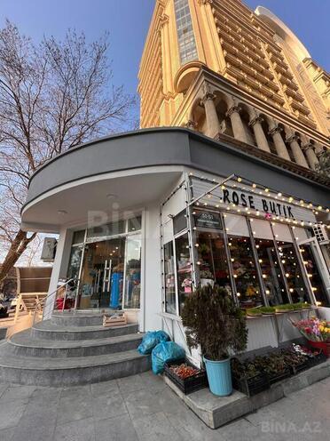 Продаётся  объект 176 м², м. Элмляр Академиясы, photo 4 from 15