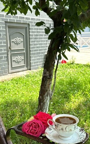 Həyət evi/Bağ evi - Qəbələ - 222 m² (8)