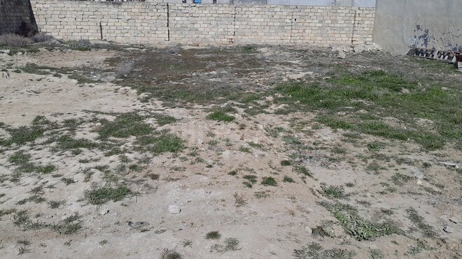 Satılır  torpaq 6 sot, Badamdar q., photo 6 from 7