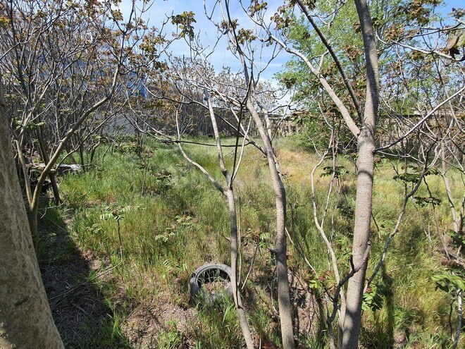 Продаётся  участок 7 сот, м. Гянджлик, photo 7 from 11