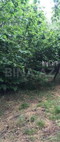 Продаётся 4-комн. дом/дача 210 м², photo 9 from 23