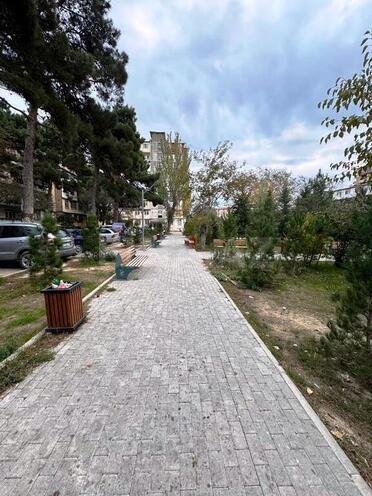 3-комн. вторичка - м. Ази Асланов - 80 м² (16)