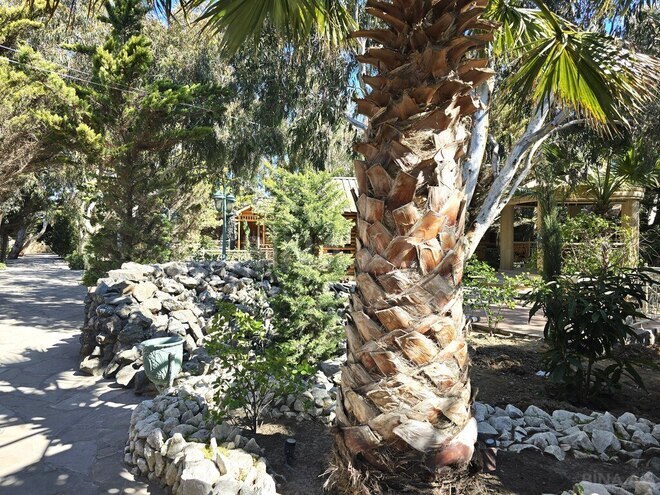 Satılır  obyekt 1 000 m², Mərdəkan q., photo 7 from 32