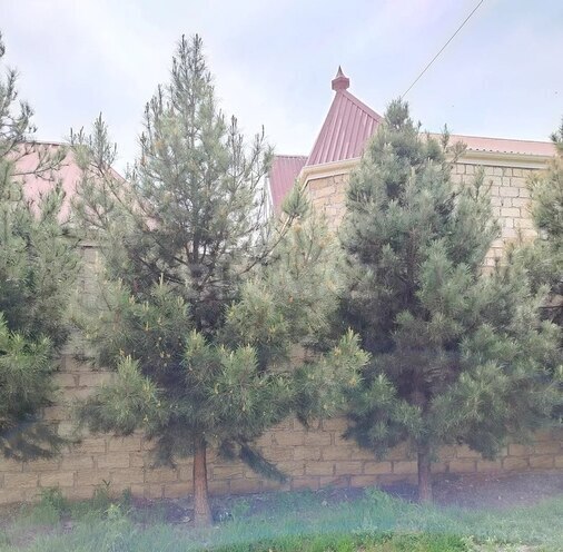 6 otaqlı həyət evi/bağ evi - Gəncə - 272 m² (7)