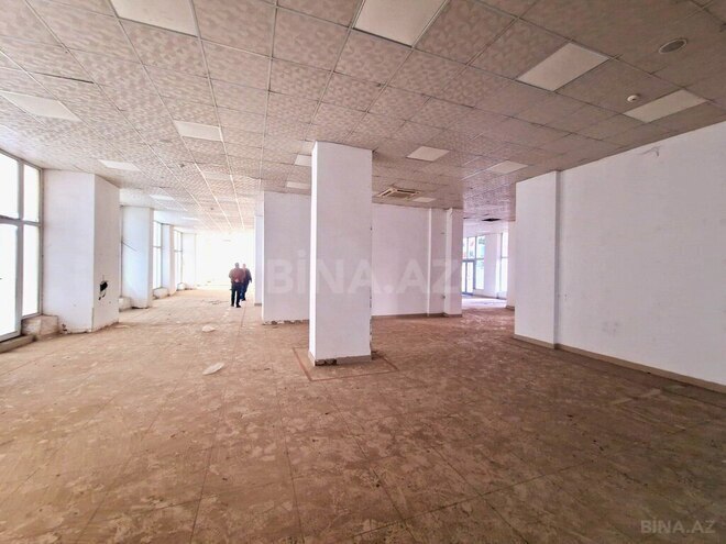 Сдаётся  объект 1 200 м², м. Ази Асланов, photo 3 from 10
