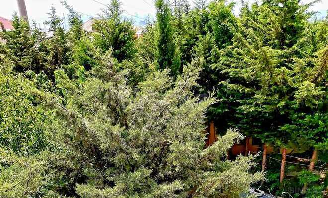 7 otaqlı həyət evi/bağ evi - Həzi Aslanov m. - 765 m² (10)