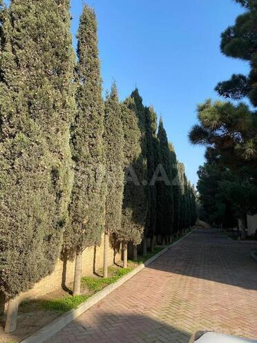 10 otaqlı həyət evi/bağ evi - Şıxov q. - 500 m² (4)