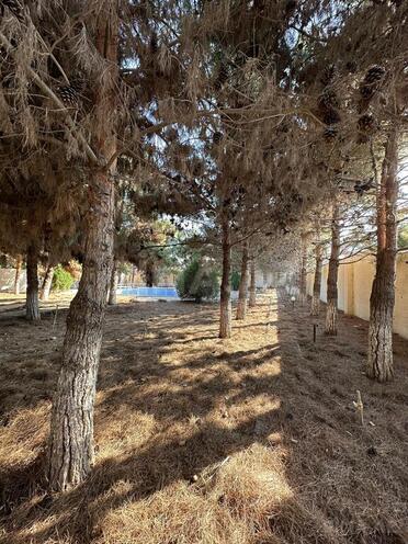 Satılır 8 otaqlı həyət evi/bağ evi 480 m², Fatmayı q., photo 10 from 20