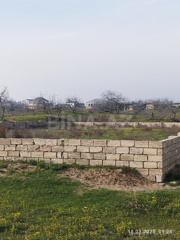 Участок - пос. Нардаран - 5 сот (4)