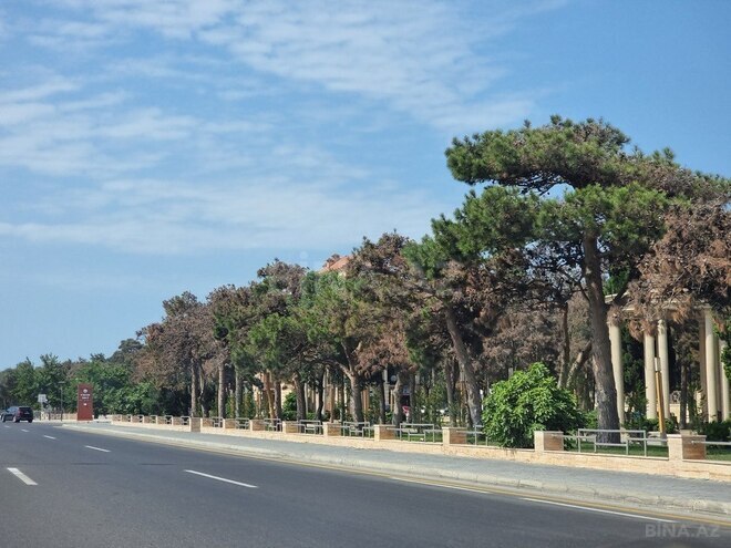 Satılır  torpaq 60 sot, Buzovna q., photo 8 from 17