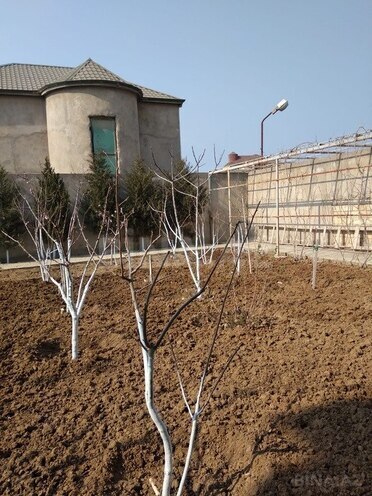 8 otaqlı həyət evi/bağ evi - Nardaran q. - 865 m² (28)