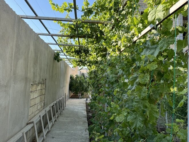 8 otaqlı həyət evi/bağ evi - Nardaran q. - 865 m² (16)