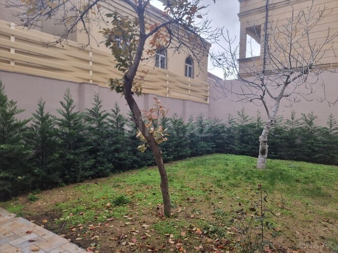 8 otaqlı həyət evi/bağ evi - Badamdar q. - 365 m² (19)