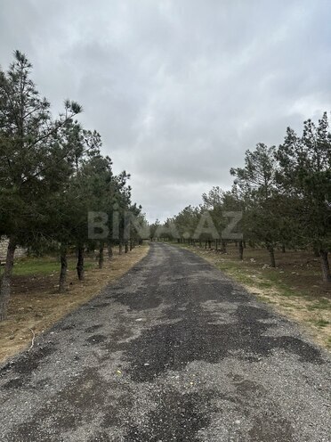 Продаётся  участок 14.4 сот, пос. Шувеляны, photo 4 from 19