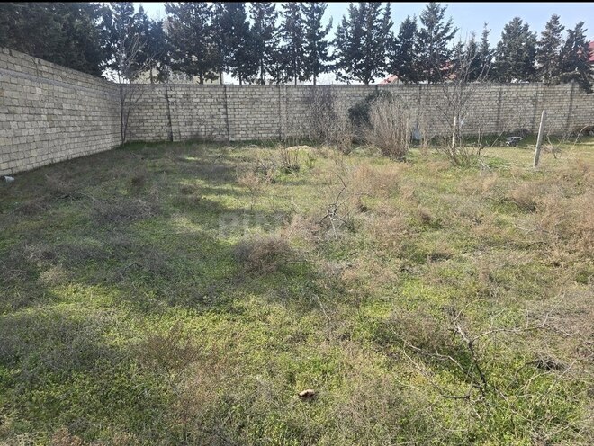 Torpaq - Abşeron r. - 4.5 sot (1)
