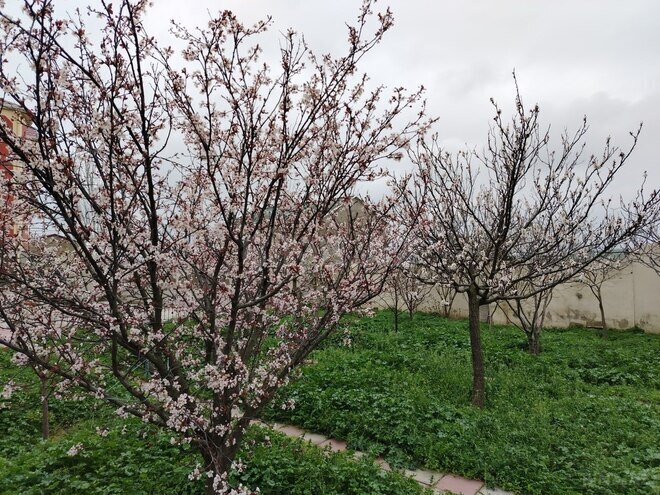 Продаётся 6-комн. дом/дача 270 м², пос. Фатмаи, photo 8 from 30