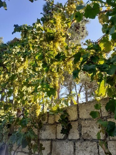 Продаётся 3-комн. дом/дача 104 м², пос. Рамана, photo 18 from 32