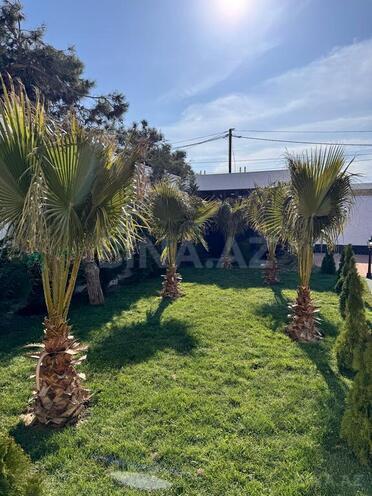 4 otaqlı həyət evi/bağ evi - Şüvəlan q. - 180 m² (5)