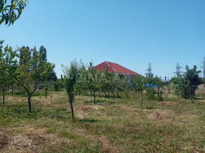 3 otaqlı həyət evi/bağ evi - Xaçmaz - 120 m² (8)