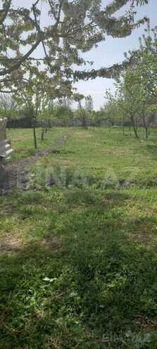 3 otaqlı həyət evi/bağ evi - Xaçmaz - 120 m² (2)