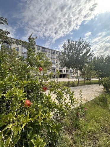 2-комн. новостройка - пос. Масазыр - 44 м² (2)
