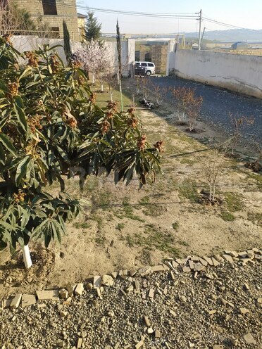 3 otaqlı həyət evi/bağ evi - Binəqədi q. - 95 m² (11)