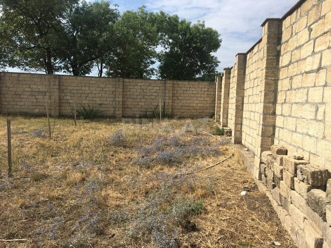 Torpaq - Şamaxı - 19 sot (5)