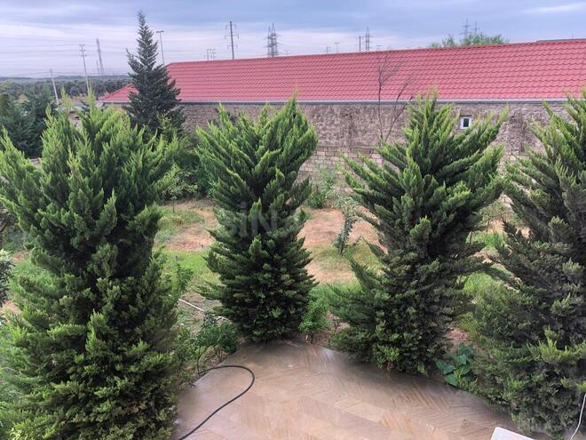 8 otaqlı həyət evi/bağ evi - Qala q. - 110 m² (5)