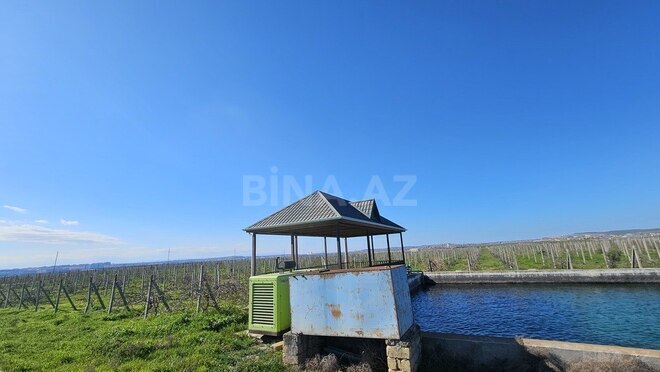 Satılır  torpaq 700 sot, Masazır q., photo 4 from 13