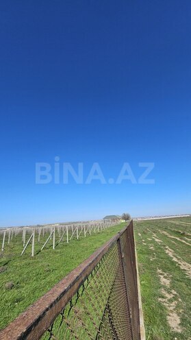Satılır  torpaq 700 sot, Masazır q., photo 5 from 13