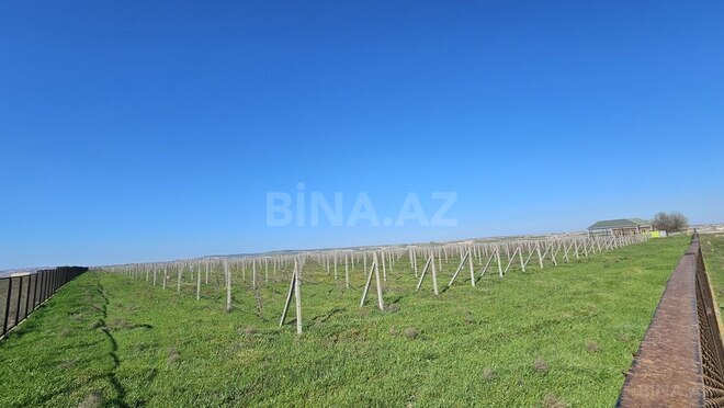 Satılır  torpaq 700 sot, Masazır q., photo 6 from 13
