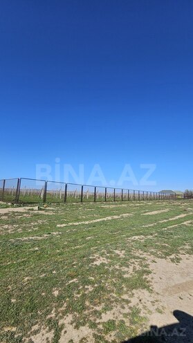 Satılır  torpaq 700 sot, Masazır q., photo 7 from 13