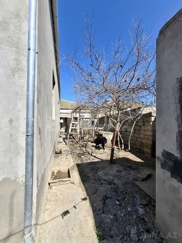 4 otaqlı həyət evi/bağ evi - Binə q. - 200 m² (4)
