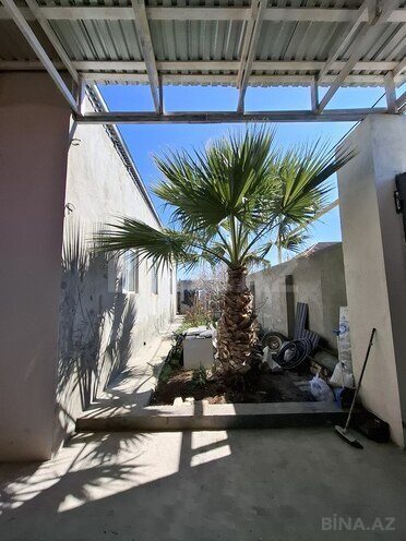 4 otaqlı həyət evi/bağ evi - Binə q. - 200 m² (28)