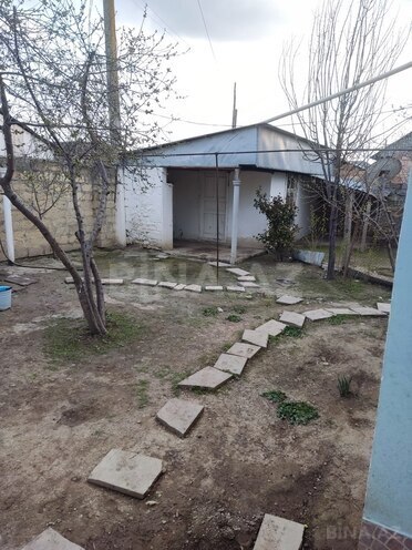 2 otaqlı həyət evi/bağ evi - Şəki - 67 m² (12)