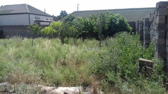 Torpaq - Sabunçu r. - 5 sot (4)
