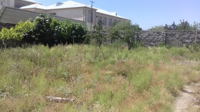 Torpaq - Sabunçu r. - 5 sot (3)