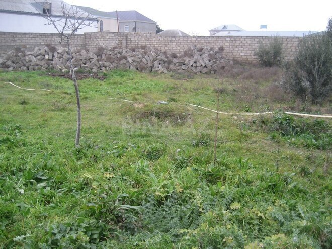 Torpaq - Sabunçu r. - 5 sot (1)