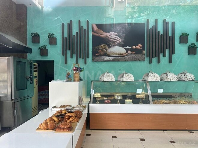 Obyekt - Memar Əcəmi m. - 355 m² (3)
