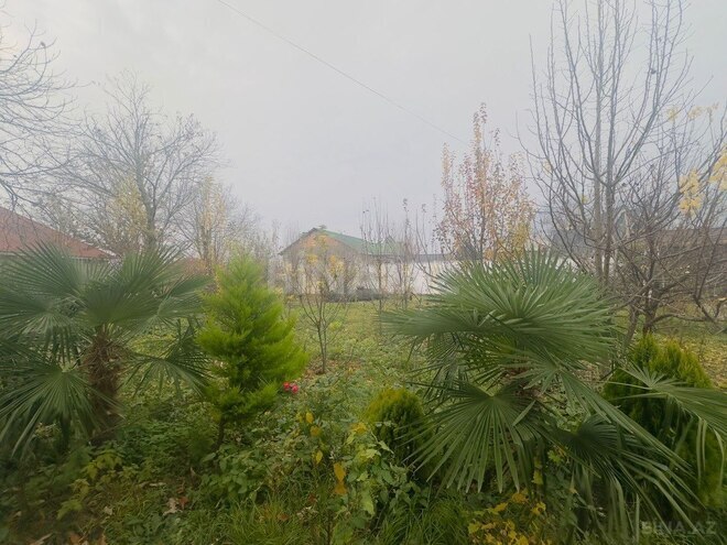 5 otaqlı həyət evi/bağ evi - Qəbələ - 220 m² (2)
