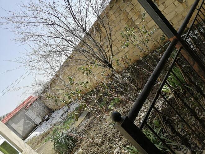 5 otaqlı həyət evi/bağ evi - Quba - 240 m² (11)