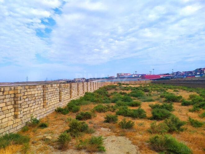 Torpaq - Masazır q. - 65 sot (1)