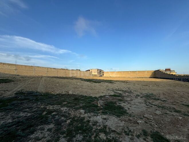 Продаётся  участок 57 сот, пос. Бадамдар, photo 5 from 13