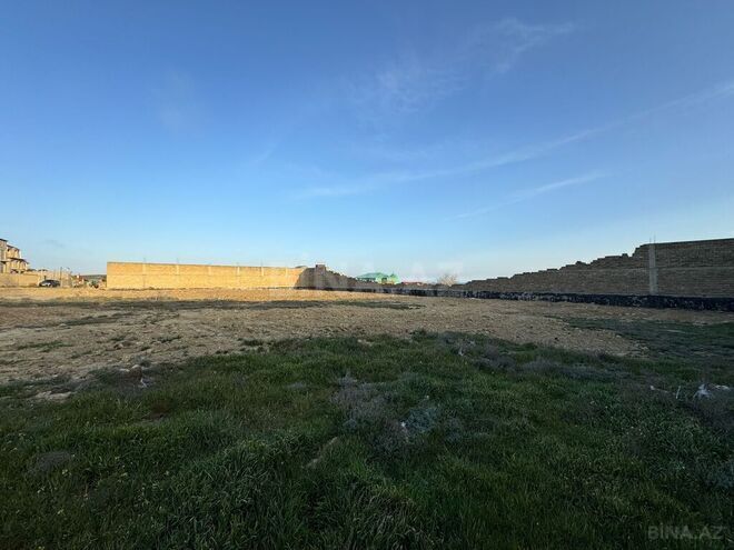 Продаётся  участок 57 сот, пос. Бадамдар, photo 11 from 13