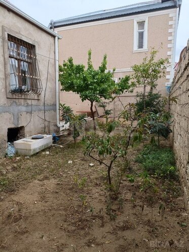 3 otaqlı həyət evi/bağ evi - Zığ q. - 100 m² (11)